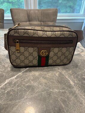 Gucci Ophidia Belt Bag GG Coated Canvas-Medium